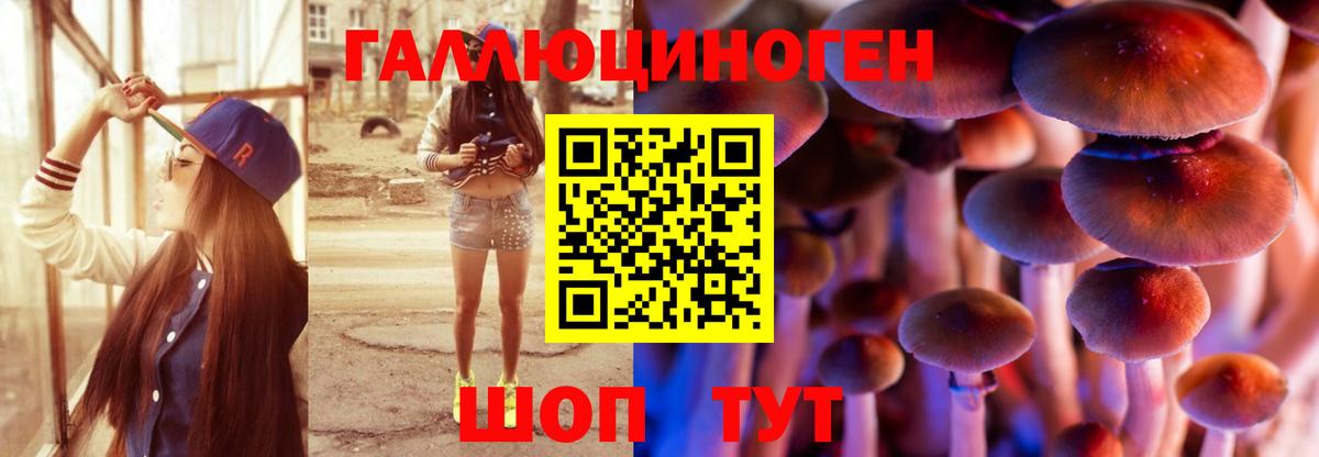 Галлюциногенные грибы Cubensis  Вход с VPN  Ейск 